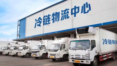 物流企业冷链仓储建设项目